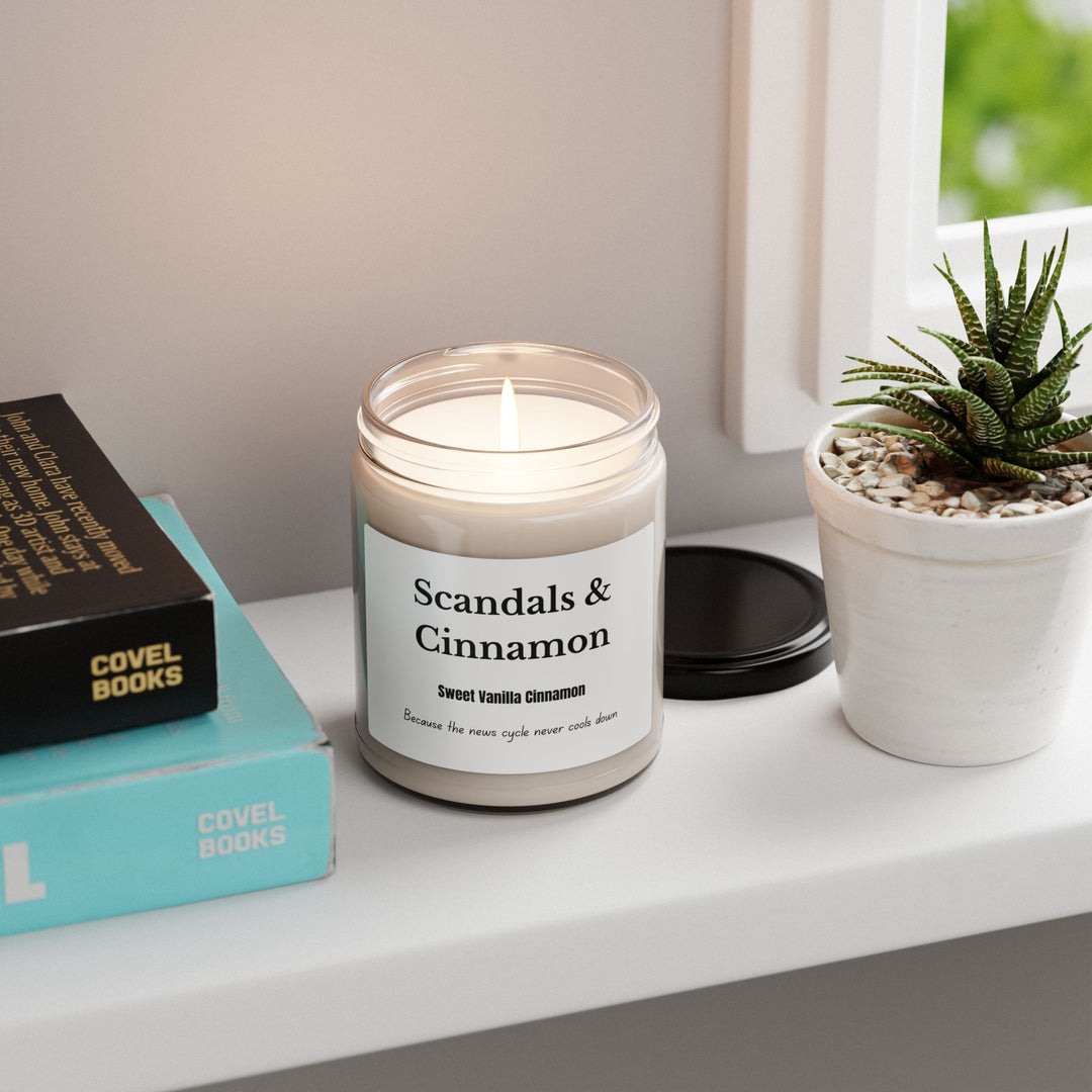 Scandals & Cinnamon Candle  Cinnamon Vanilla Scent Political Satire Candle  Funny Gift for News Junkies