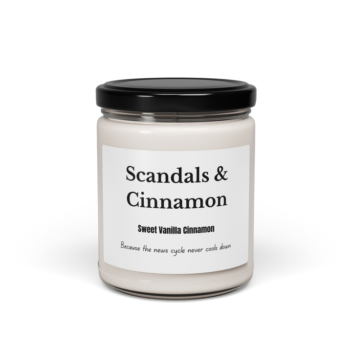 Scandals & Cinnamon Candle  Cinnamon Vanilla Scent Political Satire Candle  Funny Gift for News Junkies