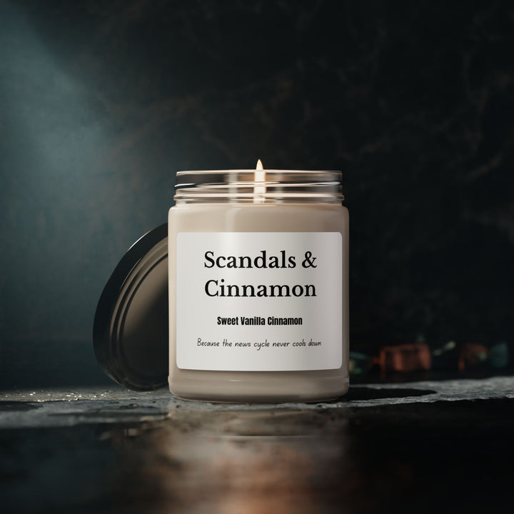 Scandals & Cinnamon Candle Cinnamon Vanilla Scent Political Satire Candle Funny Gift for News Junkies- Ten & Timber