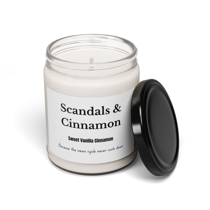 Scandals & Cinnamon Candle  Cinnamon Vanilla Scent Political Satire Candle  Funny Gift for News Junkies