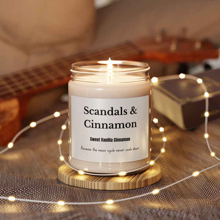 Scandals & Cinnamon Candle  Cinnamon Vanilla Scent Political Satire Candle  Funny Gift for News Junkies